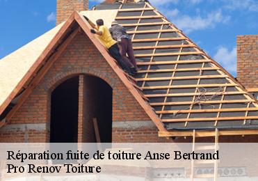 Réparation fuite de toiture anse-bertrand-97121 Pro Renov Toiture