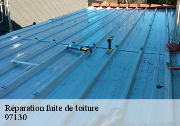 Réparation fuite de toiture 97130