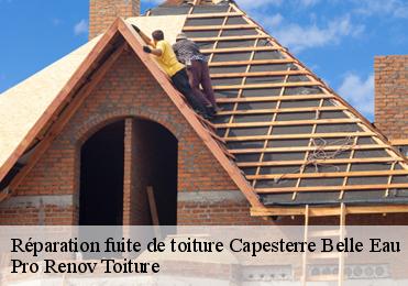 Réparation fuite de toiture capesterre-belle-eau-97130 Pro Renov Toiture