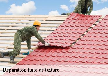 Réparation fuite de toiture