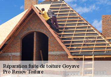Réparation fuite de toiture goyave-97128 Pro Renov Toiture