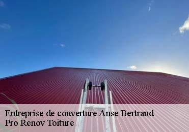 Entreprise de couverture anse-bertrand-97121 Pro Renov Toiture