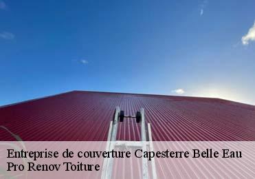 Entreprise de couverture  capesterre-belle-eau-97130 Pro Renov Toiture