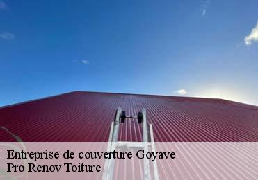 Entreprise de couverture goyave-97128 Pro Renov Toiture