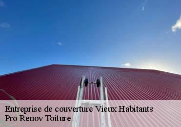 Entreprise de couverture vieux-habitants-97119 Pro Renov Toiture