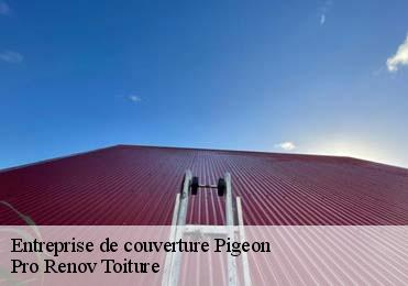 Entreprise de couverture  pigeon-97132 Pro Renov Toiture